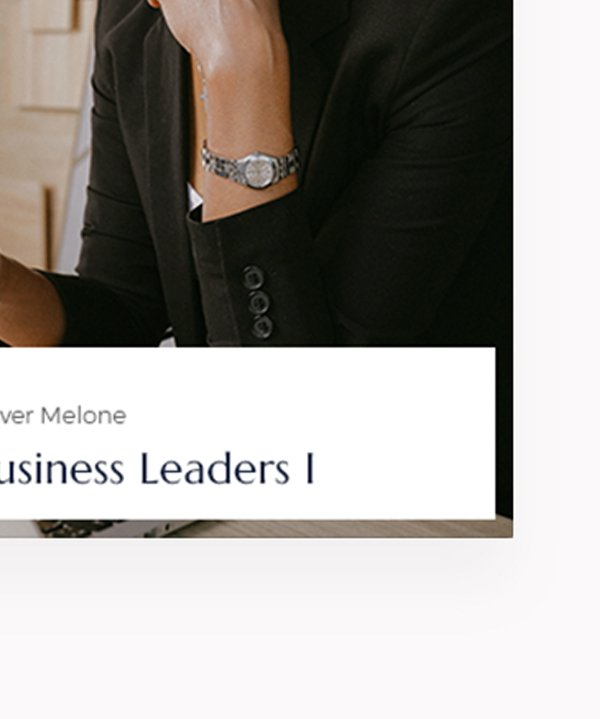 Business book II - Image 4